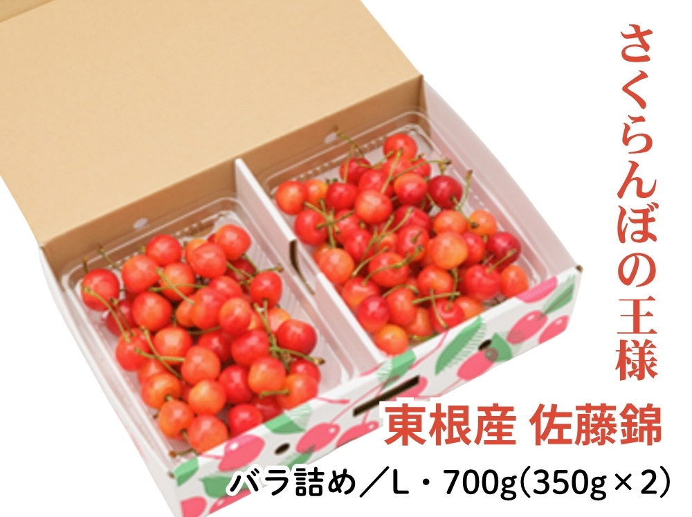 HNS-2】山形・東根産 佐藤錦 L(秀)／700g(350g×2) バラ詰め | 上杉城史
