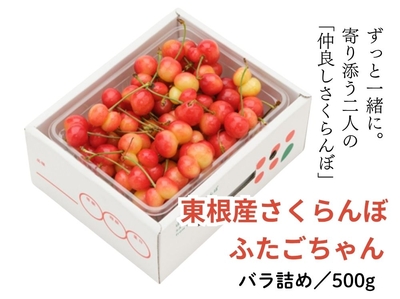 【HNS-1】山形・東根産 さくらんぼ「ふたごちゃん」／500gバラ詰め