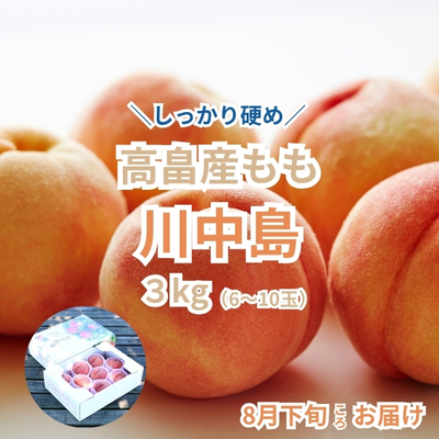 予約販売【高畠産】桃「川中島白桃」3kg（6~10玉）