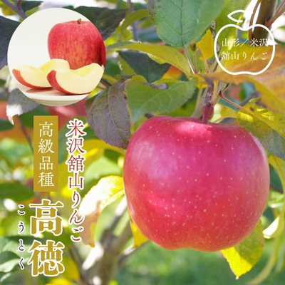 【予約販売】米沢舘山産りんご「高徳」