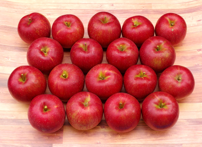 長野県産りんご シナノスイート 5kg 特秀 Lサイズ 1段(14個~15個) 送料込み