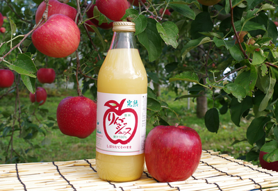 長野県産りんごジュース(1L瓶) 12本セット りんごジュース 1L ×12本セット 長野県産 サンふじ 100
