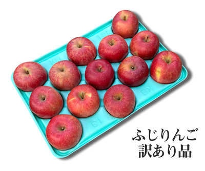 長野県産 ふじりんご 訳あり品 2段 10kg 送料込み