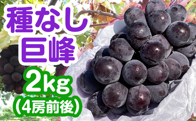 種なし巨峰 2kg（4房前後）送料込み