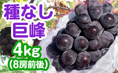 種なし巨峰 4kg（8房前後）送料込み