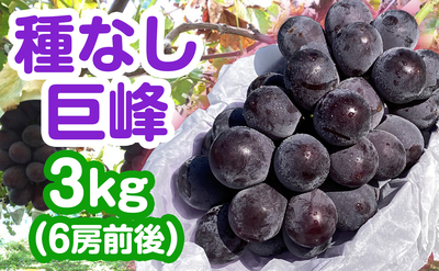 種なし巨峰 3kg（6房前後）送料込み