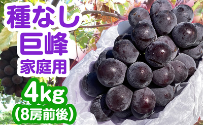 長野県産 種なし巨峰 家庭用 4kg（6房前後）送料込み