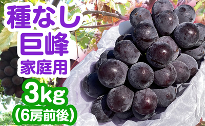 長野県産 種なし巨峰 家庭用 3kg（5房前後）送料込み