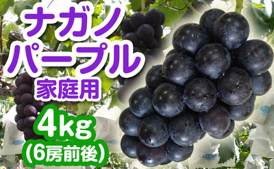 ナガノパープル 家庭用 4kg（6房前後）