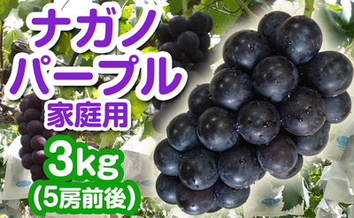 ナガノパープル 家庭用 3kg（5房前後）