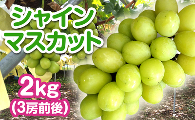 シャインマスカット 2kg（3房前後）送料込み