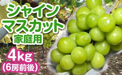 長野県産 シャインマスカット 家庭用 4kg（6房前後）送料込み