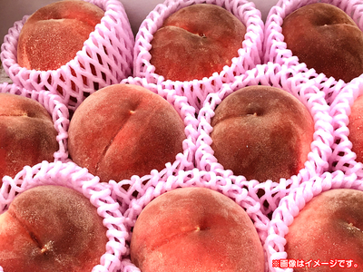 本場信州産 川中島白桃 L玉 約3kg（9~10玉）キャップ詰
