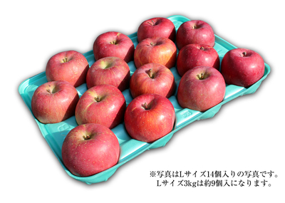 長野県産 ふじりんご スマートフレッシュ   Lサイズ 3kg 送料込み