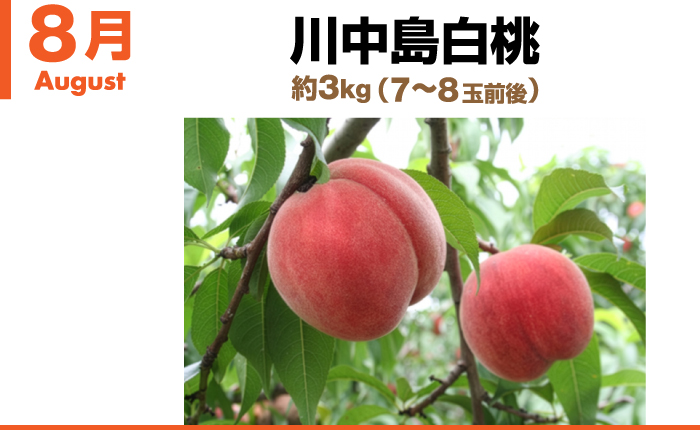 8月