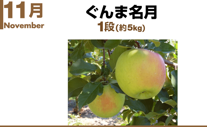 11月