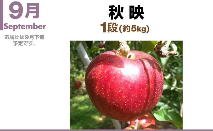 9月