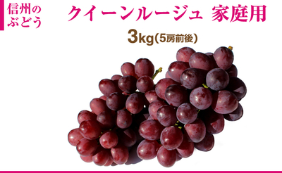 長野県産 クイーンルージュ 3kg 家庭用（6房前後）