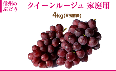 長野県産 クイーンルージュ 4kg 家庭用（8房前後）