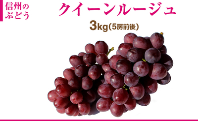 長野県産 クイーンルージュ 3kg（6房前後）