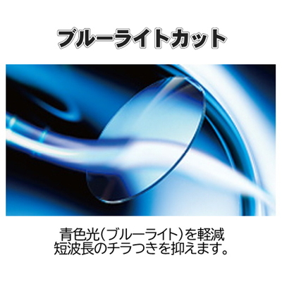 40-0027-2(1)度なしレンズ+1900円ブルーライトカット+1900円 40-0027-2(1)度なしレンズ+ブルーライトカット+