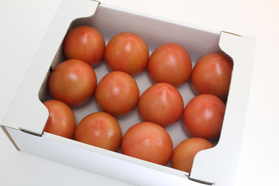 トマト麗月(れいげつ)A品