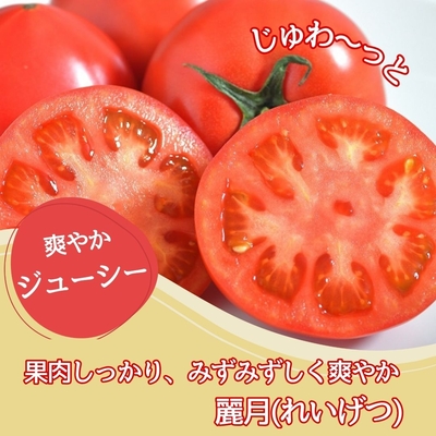 トマト麗月(れいげつ)A品