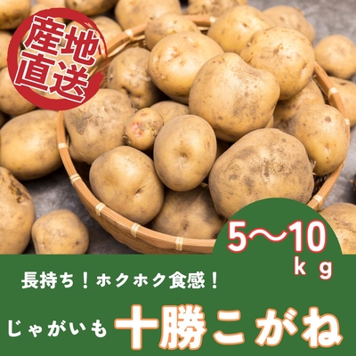 十勝こがね｜長期保存OK・ほくほく甘い万能じゃがいも