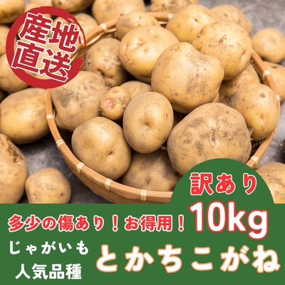 【訳あり★お買い得】十勝こがね 10kg