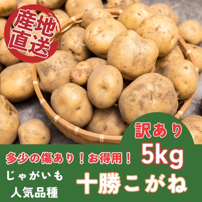 【訳あり★お買い得】長期保存OK万能じゃがいも