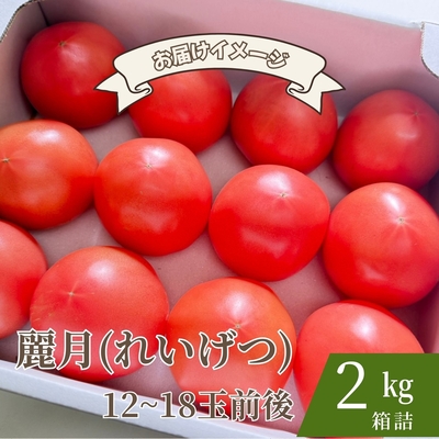 【糖度7度以上】冬だけのご褒美トマト「麗月」A品