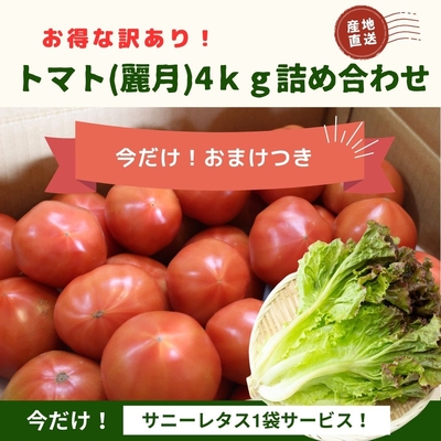 訳あり麗月マイルドトマト4キロ（サニーレタスおまけつき）