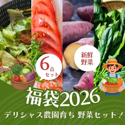 【予約販売】福袋2026 野菜セット《豪華6点》