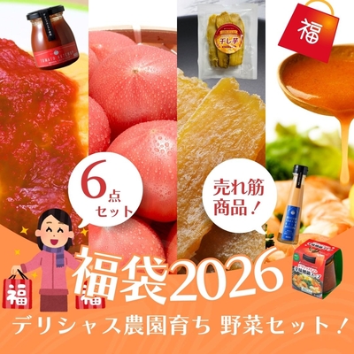 【予約販売】福袋2026 人気商品詰め合わせセット《豪華6点》