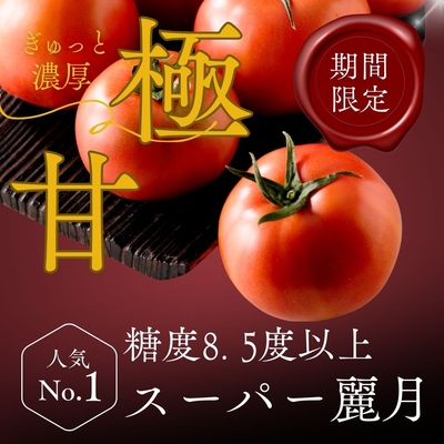 【糖度8.5度以上】極甘スーパー麗月(期間・数量限定)