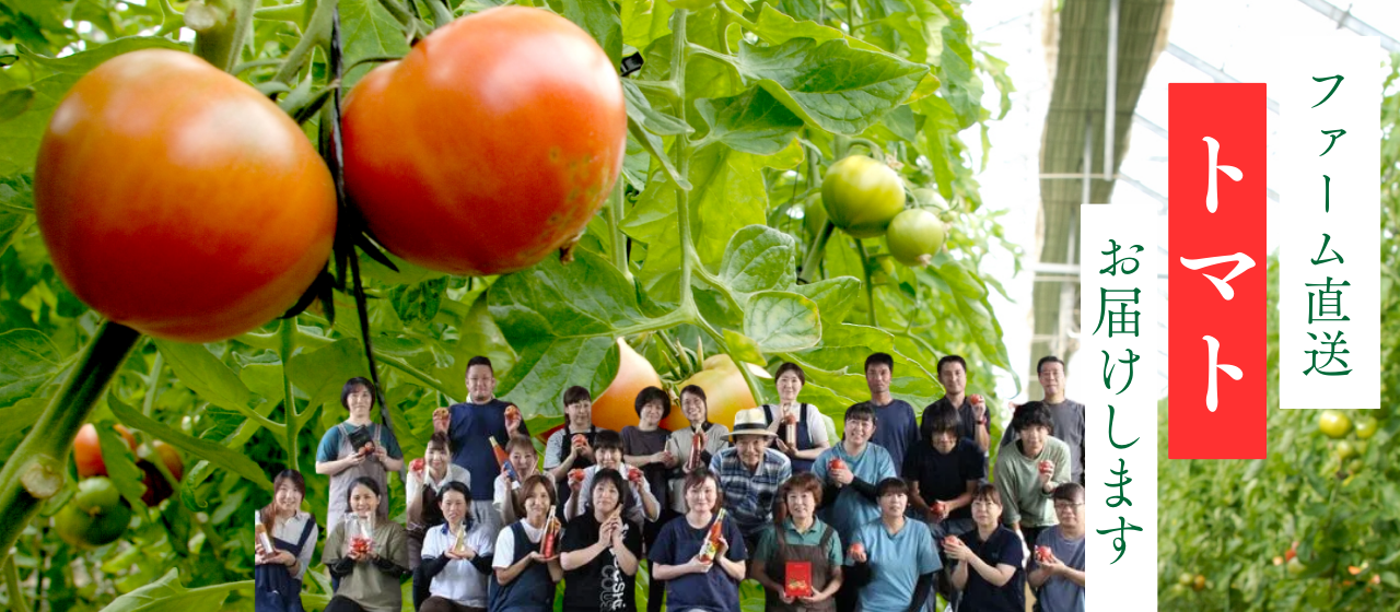 宮城県大崎市デリシャスファーム