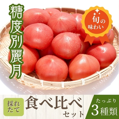 今が旬！麗月トマト食べ比べセット