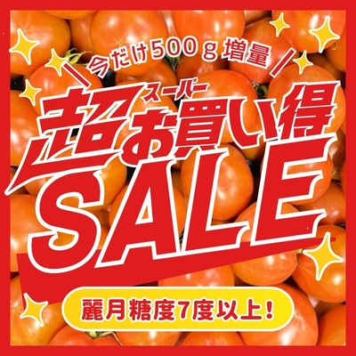 【今だけ500g増量】麗月7度以上 バラ詰め 2.5kg（2kg＋500g増量）