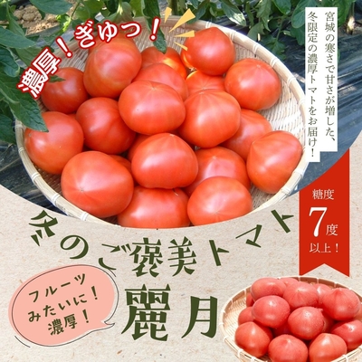【糖度7度以上】冬だけのご褒美トマト「麗月」A品
