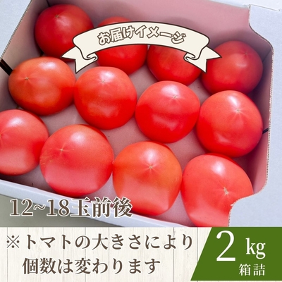 【糖度8.5度以上】スーパーデリシャス