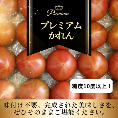 【糖度10度以上！】プレミアムかれん