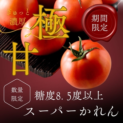 【糖度8.5度以上】極甘スーパーかれん（期間・数量限定）