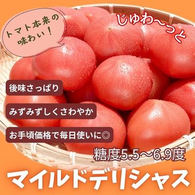 マイルドデリシャ【糖度5.5～6.9度】1ｋｇ箱
