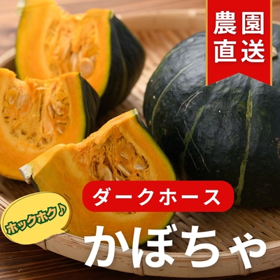 【予約販売】カボチャ※6月上旬から順次発送