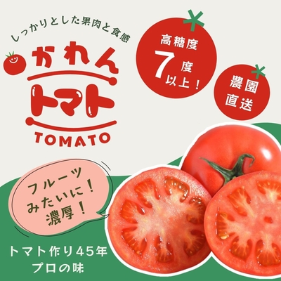 【糖度7度以上】果肉しっかりトマト「かれん」