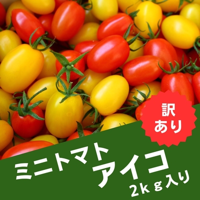 訳ありミニトマト（アイコ）2kg
