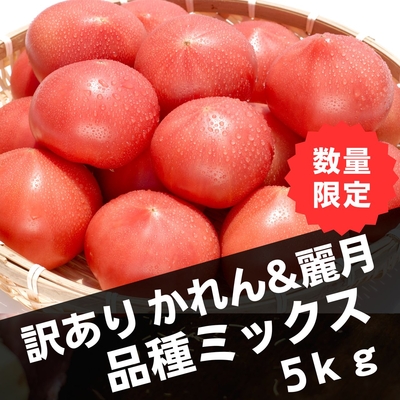 訳あり大玉トマト5キロ