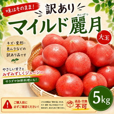 【訳あり】マイルド麗月大玉トマト5キロ