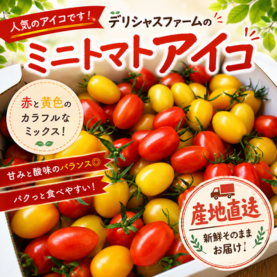 ミニトマト詰め合わせ（アイコ）