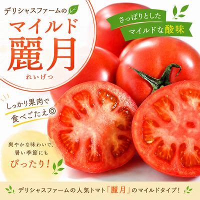 マイルド麗月トマト(5.5～6.9度)A品
